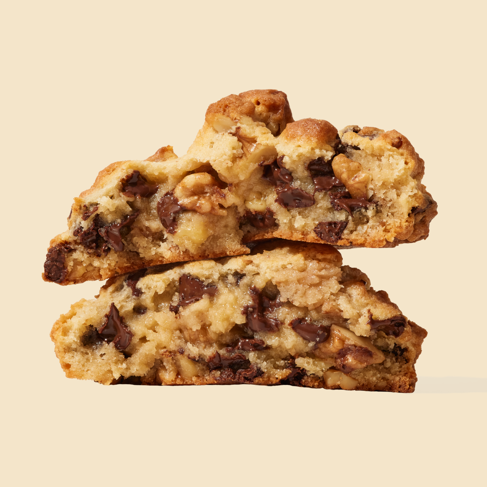 Chocolate Chip Walnut